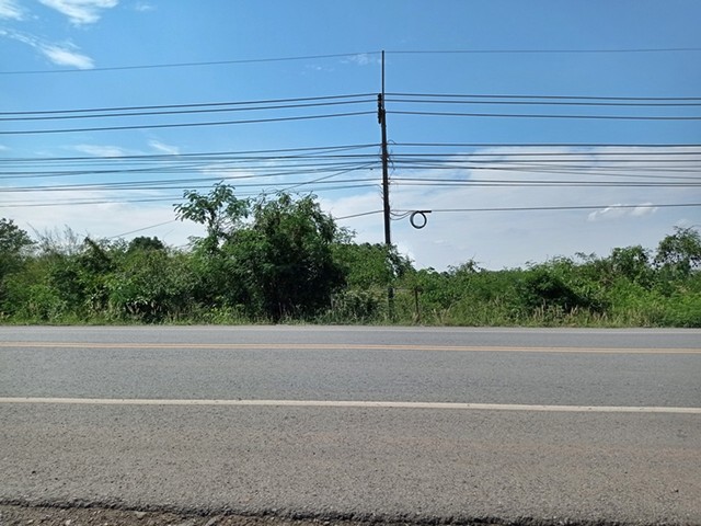 ขายที่ดิน อ.ศรีบุญเรือง จ.หนองบัวลำภู อยู่ติดถนนสายหนองบัวลำภู-ชุมเเพ