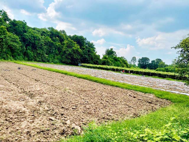 ขายที่ดิน ดอนแร่ ที่ดินเ 2 ไร่  เพิ่มบ้าน 58 ตร.ว.เหมาะสำหรับสร้างบ้านพักอาศัย รีสอร์ท หรือทำเกษตรกรรม ตั้งอยู่ทำเลดี ราชบุรี