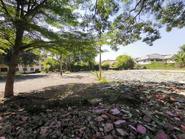 ขายที่ดินเปล่า ช้างคลาน เชียงใหม่ ราคาโปรโมชั่น ตั้งอยู่ในย่านที่อยู่อาศัย ระบบสาธารณูปโภคครบครัน