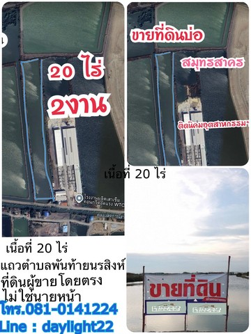 ขายที่ดินบ่อ แถวเทศบาลเมืองพันท้ายนรสิงห์ จ.สมุทรสาคร เนื้อที่ 20 ไร่เศษๆ