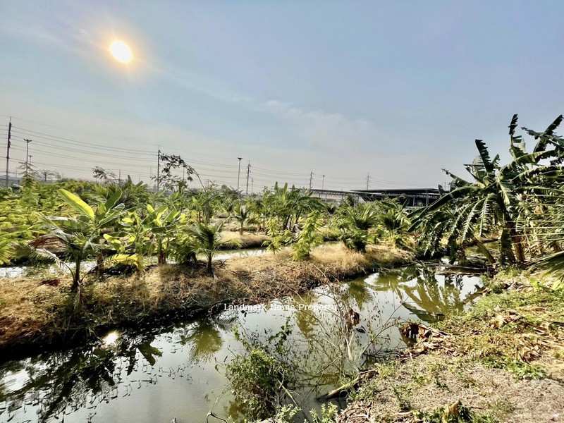 LM25-0134 ขายที่ดิน ใกล้เดอะมอลล์บางแค ติดถนนกาญจนาภิเษก หัวมุมถนนกัลปพฤกษ์ พื้นที่สีเหลือง เนื้อที่ 3-1-28 ไร่