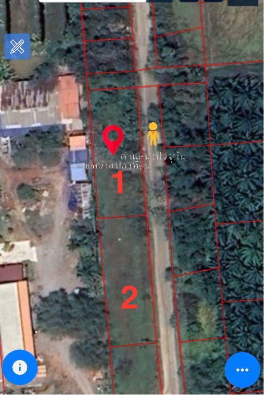 ขายที่ดินเปล่ามีโฉนด ติดถนนทำเลดี ท่าทองใหม่ สุราษฎร์ธานี