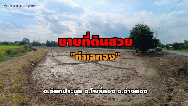 ขายที่ดิน 5 ไร่ ใกล้วัดขุนอิน ต.อินทประมูล อ.โพธิ์ทอง จ.อ่างทอง