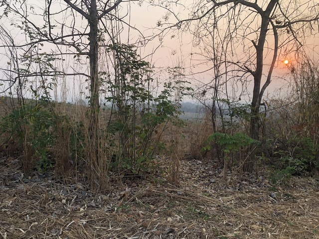 รีบหาที่ทางทำเกษตรพอเพียง  ธรรมชาติเนินเขา ที่ดินโฉนดแบ่งขาย หล่มเก่า เพชรบูรณ์ ใกล้ภูทับเบิก โทร 0968821857