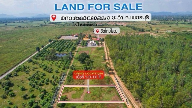 ขายที่ดิน 1 ไร่ พิกัดตำบลไร่ใหม่พัฒนา อำเภอชะอำ เพชรบุรี โฉนดครุฑแดง