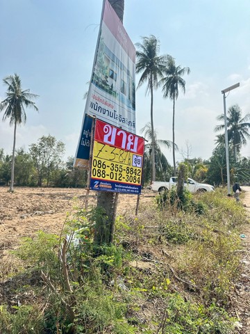 ขายที่ดิน  7-3-87 ไร่   ถนนศรีราชา-หนองค้อ ซอย14  สุรศักดิ์   ศรีราชา  ชลบุรี  ZT884