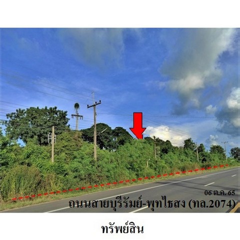 ขายที่ดินว่างเปล่า ถนน สายบุรีรัมย์-พุทไธสง (ทล.2074) ตำบล ถลุงเหล็ก อำเภอ เมืองบุรีรัมย์ จังหวัด บุรีรัมย์