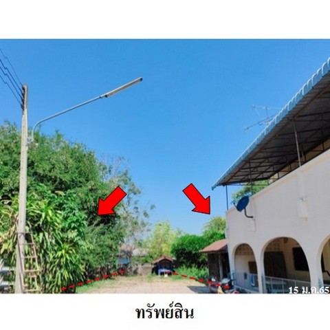 ขายที่ดินว่างเปล่า โครงการ ชัยพฤกษ์ ถนน สายภูเขียว-เกษตรสมบูรณ์ (ทล.2037) ตำบล ผักปัง อำเภอ ภูเขียว จังหวัด ชัยภูมิ