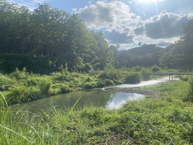 บอกขายที่ดินทำเลดีราคาคุยได้  ขายที่ดินติดลำธารน้ำใสไหลริน ชุ่มฉ่ำตลอดปี สวยวิวล้าน 800000บาท 3-0-35ไร่ อำเภอสันติสุข น่าน