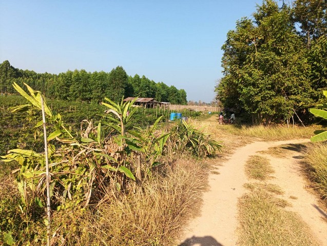 สู่ยุคหาทรัพย์ดีเอื้อเศรฐกิจ  ที่ติดแม่น้ำโขง ต.กุดบง อ.โพนพิสัย จ.หนองคาย  หลังติดแม่น้ำโขง ไร่ละ 2ล้านบาท โทร 096-882-1857