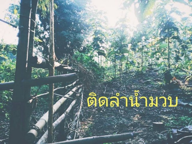 พรีเซ้นทรัพย์ทำเลทองใกล้สิ้นปี ขายที่ดินติดลำธารน้ำใสไหลริน ชุ่มฉ่ำตลอดปี สวยวิวล้าน 800000บาท 3-0-35ไร่ อำเภอสันติสุข น่าน