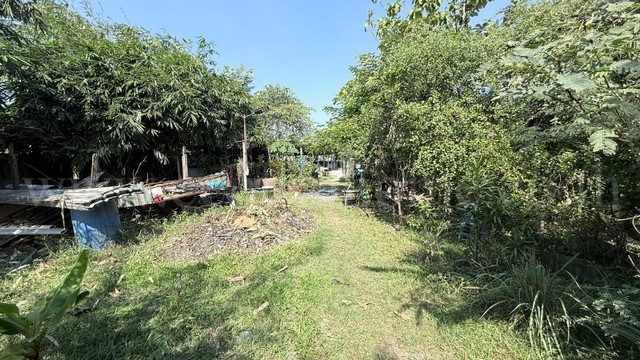 ที่ดิน 1 ไร่ ซอย สุคนธวิท 29 กระทุ่มแบน - สมุทรสาคร ราคาถูก