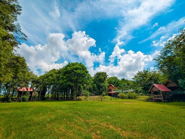 ขายที่ดินทำเลทอง โอนฟรีราคา ต่อรองได้ เจ้าของขายเอง พร้อมสิ่งปลูกสร้าง  พิษณุโลก