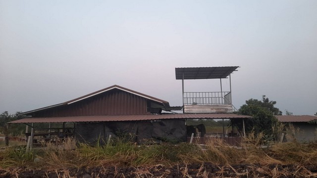 ขายที่ดินพร้อมบ้านสวน อำเภอพัฒนานิคม จังหวัดลพบุรี เนื้อที่ 3 ไร่ 3 งาน 29 ตารางวา