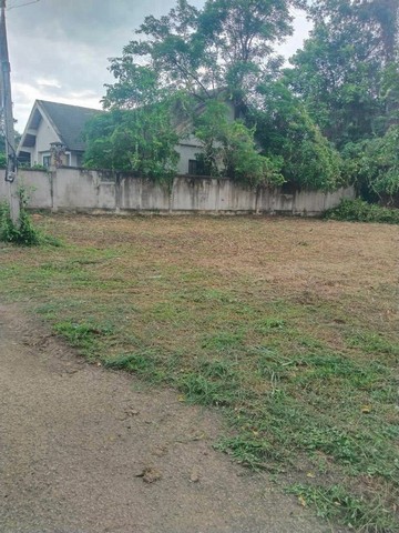ที่ดินทำเลดี เหมาะสำหรับสร้างบ้านหลังใหญ่ เดินทางสะดวก สันผักหวาน