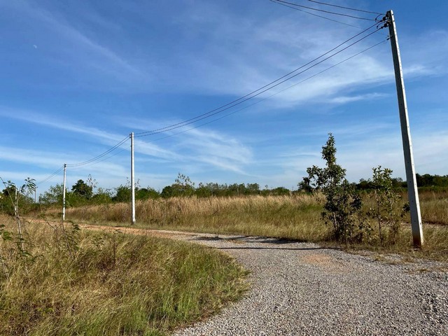 ขายที่ดิน 3-1-51ไร่ 2.3ลบ. ฟรีโอน ถนน น้ำประปา ไฟฟ้า ใกล้ถนนใหญ่ชัยภูมิ-สีคิ้ว ติดวิสาหกิจชุมชนโฮมฮักจัตุรัส ต.บ้านกอก อ.จัตุรัส ชัยภูมิ