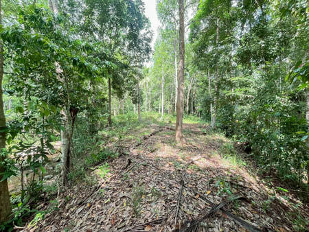 ขาย / ให้เช่า ที่ดินทำเลทอง ลิปะน้อย เกาะสมุย สุราษ