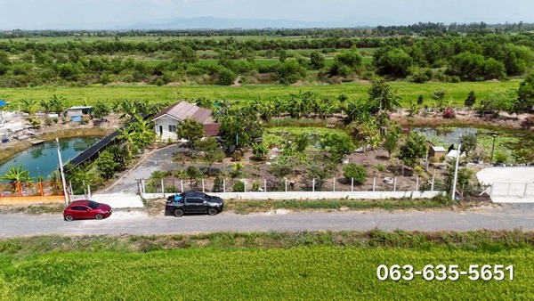 ขายบ้านสวนวัยเกษียน ใกล้กรุงเทพฯ ต.ทองหลาง อ.บ้านนา จ.นครนายก ขนาดกำลังพอเหมาะสำหรับไว้พักผ่อน ไม่เหนื่อยต่อการดูแล