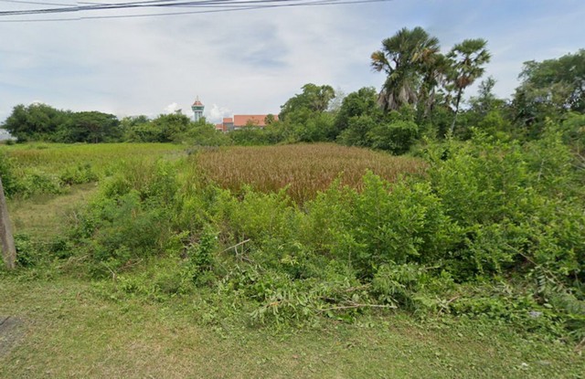 ขายที่ดินยกแปลง 1 งาน 33.0 ตารางวา ครุฑแดง ราคา 600000 บาท อำเภอระโนด จังหวัดสงขลา