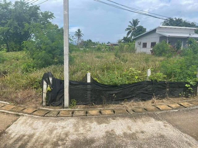 ขายที่ดินทำเลสวย 2งาน 84ตารางวา ราคา 700000 บาท  ตำบลบัวสลี อำเภอแม่ลาว  จังหวัดเชียงราย