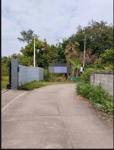ขายที่ดินว่างเปล่า แม่ฮ่าง ถนนฝาง-ท่าตอน เชียงใหม่