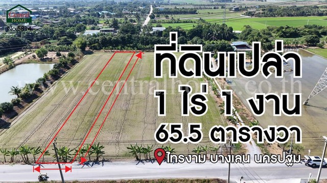 ที่ดินเปล่า 1-1-65.5 ไร่ ไทรงาม ถนนบางเลน นครปฐม ติดถนน